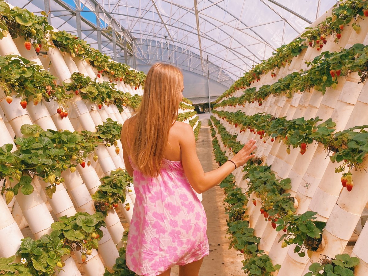 A Day in the Life: Working in Port&nbsp;Macquarie