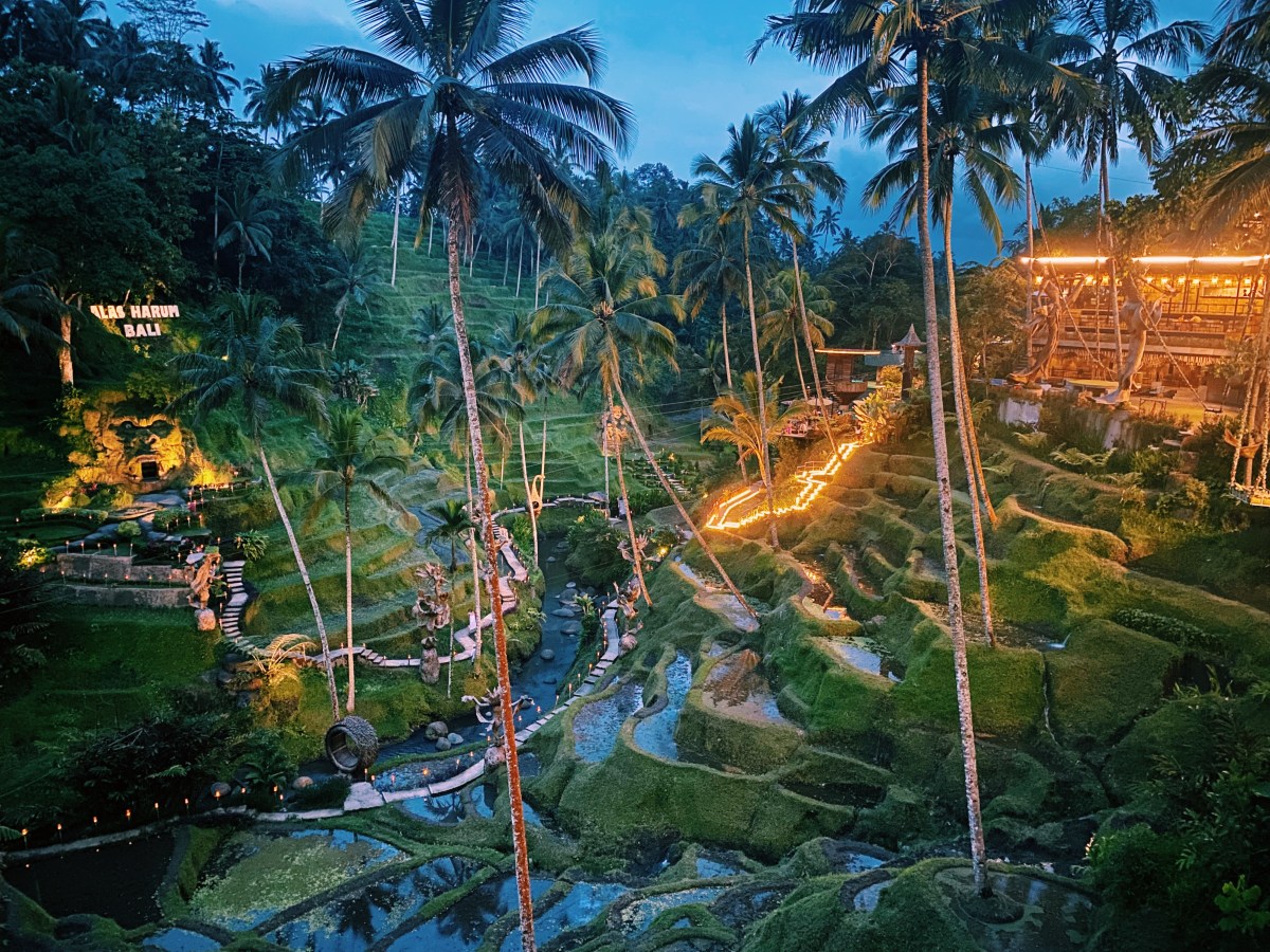 Ubud Travel Guide